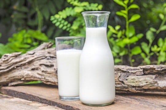 πώς να αποθηκεύσετε το νωπό γάλα
