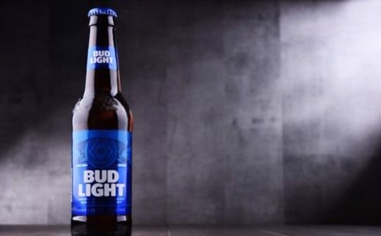 What Does Bud Light Taste Like? Does Bud Light Taste Good?