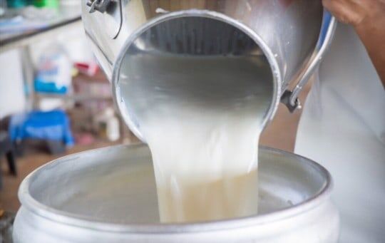 How Long Does Raw Milk Last? Does Raw Milk Go Bad?