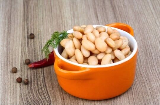 what are cannellini beans