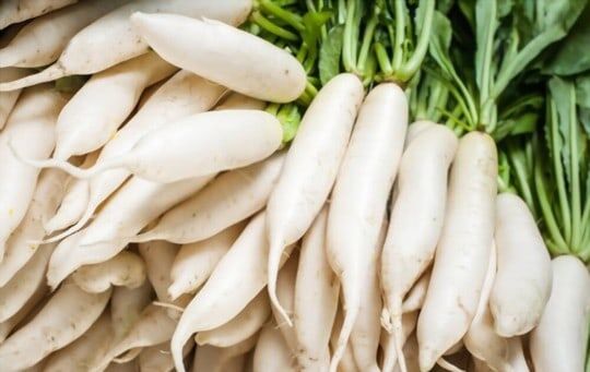 The 5 Best Substitutes for Daikon Radish